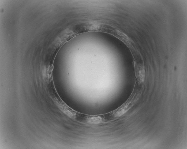 X0000068310525200604211207