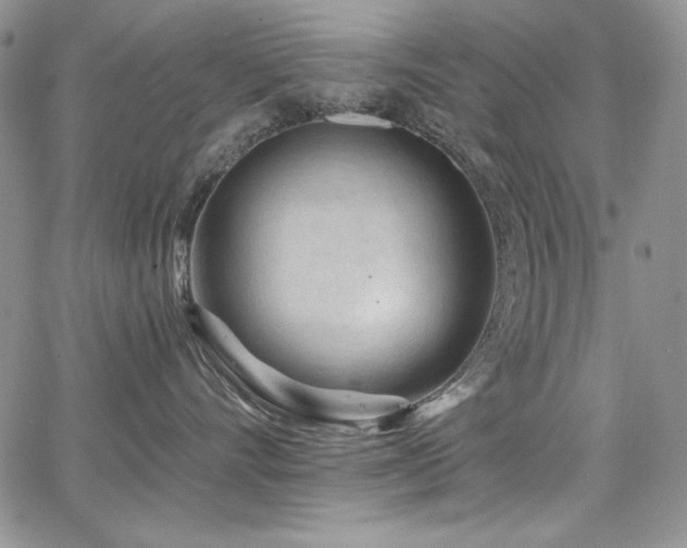 X0000068310528200604211207