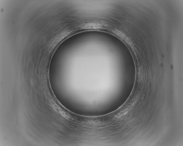 X0000068310529200604211206