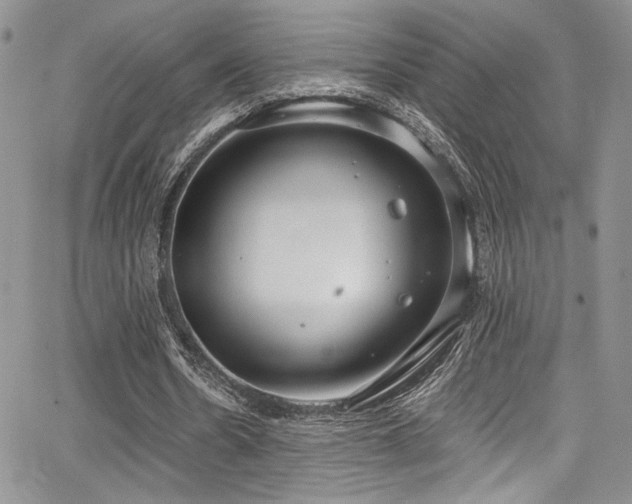 X0000068310530200604211206