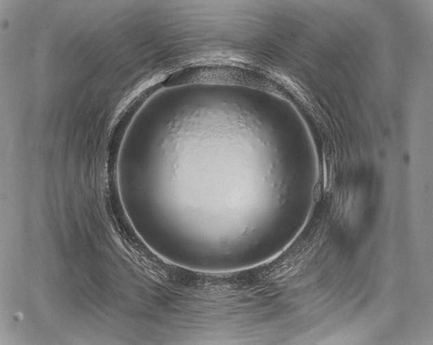 X0000068310531200604211206