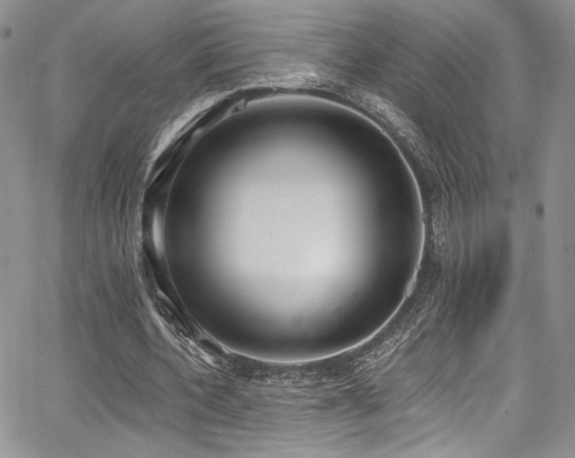 X0000068310532200604211206