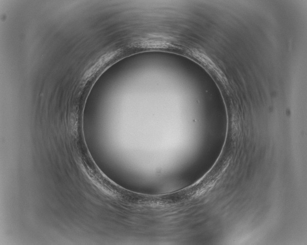 X0000068310533200604211206