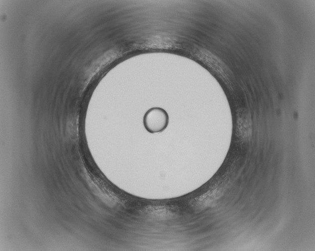 X0000068310534200604211206