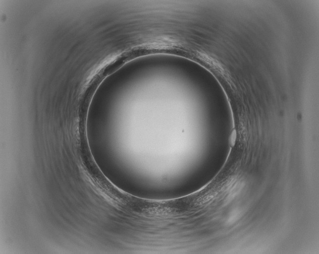 X0000068310535200604211206