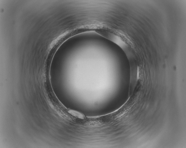 X0000068310536200604211206