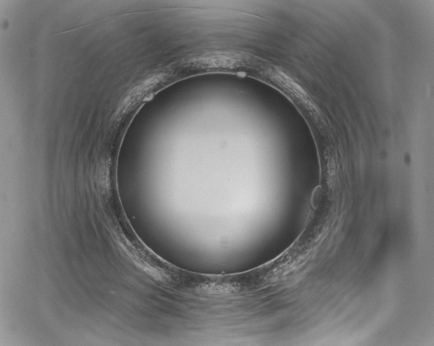 X0000068310537200604211206