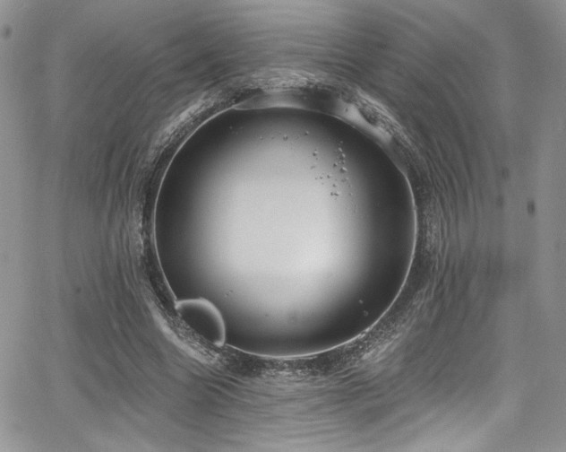 X0000068310538200604211206