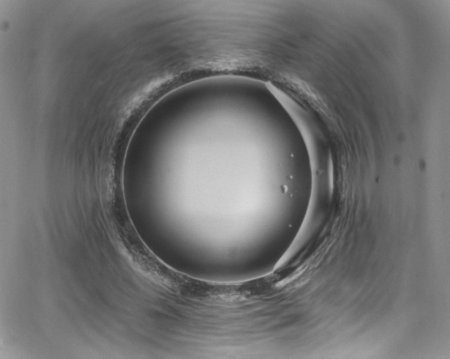 X0000068310540200604211207