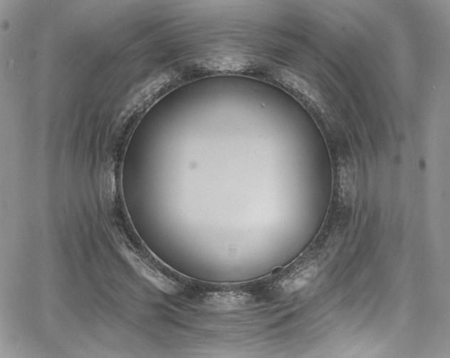 X0000068310541200604211207