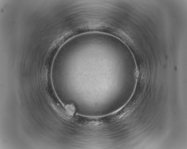 X0000068310542200604211207