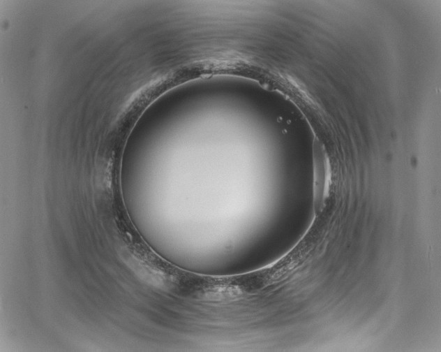 X0000068310543200604211207