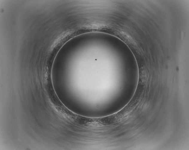 X0000068310544200604211207