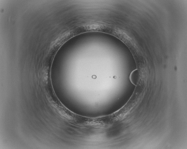 X0000068310545200604211207