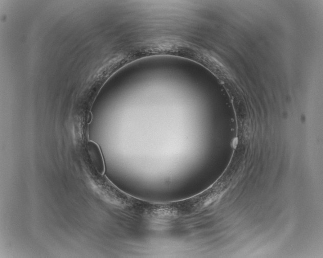 X0000068310546200604211207