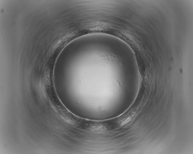 X0000068310547200604211207