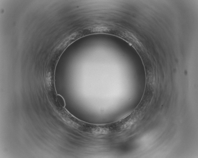 X0000068310549200604211207