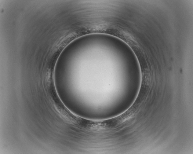 X0000068310550200604211207