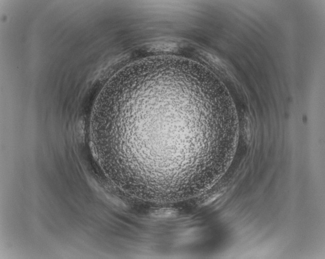 X0000068310551200604211207