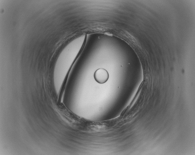 X0000068310552200604211207