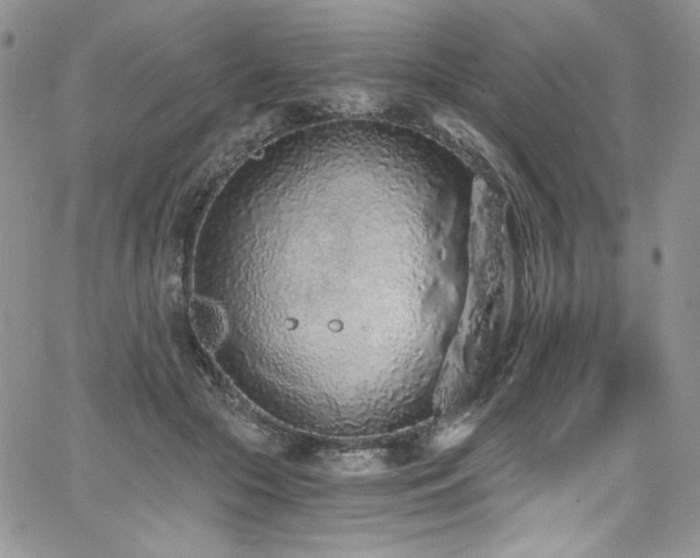 X0000068310553200604211207