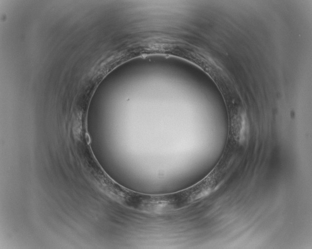 X0000068310554200604211207