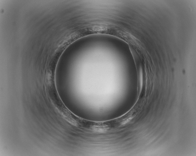 X0000068310556200604211207