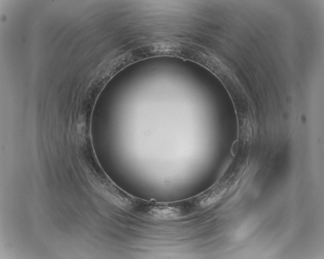 X0000068310557200604211207