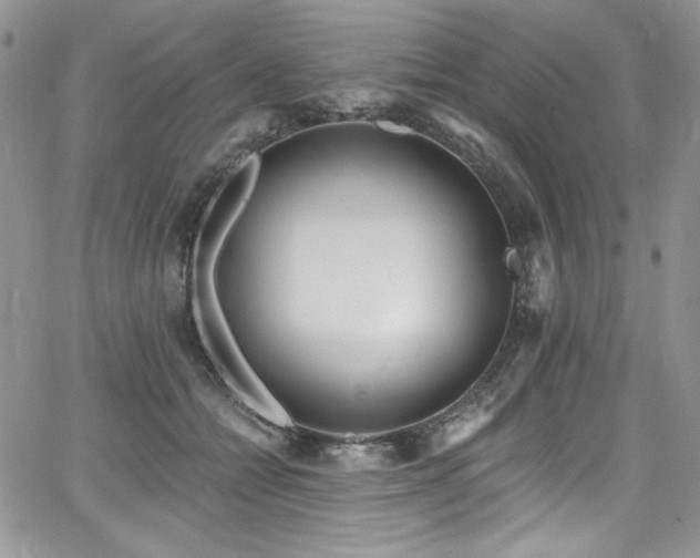 X0000068310558200604211207