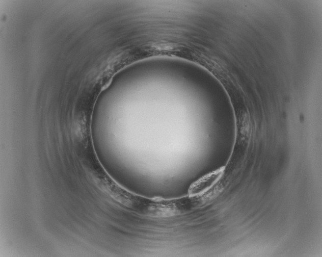 X0000068310559200604211207