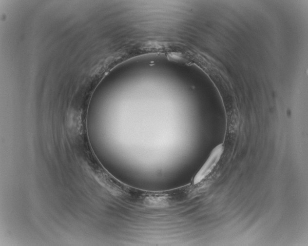 X0000068310560200604211207