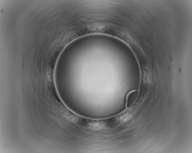 X0000068310561200604211207