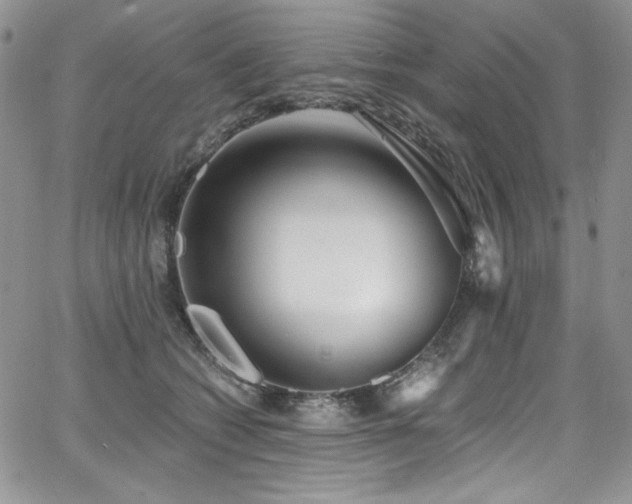 X0000068310562200604211207