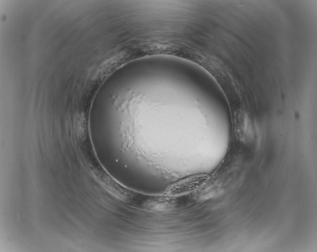 X0000068310563200604211207