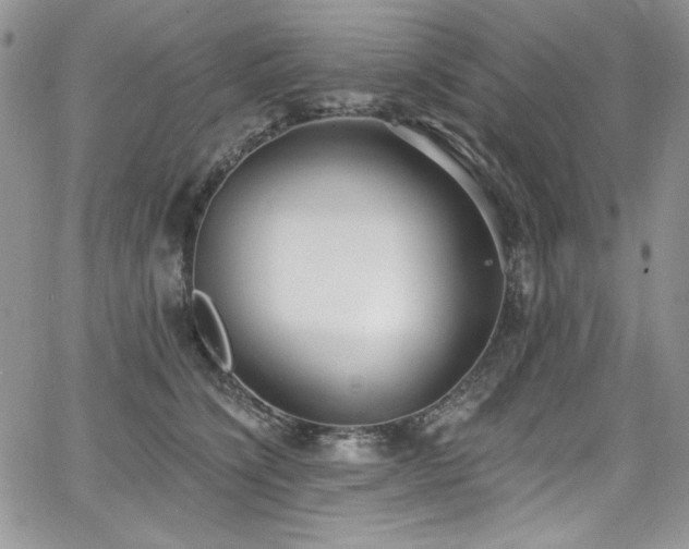 X0000068310564200604211207