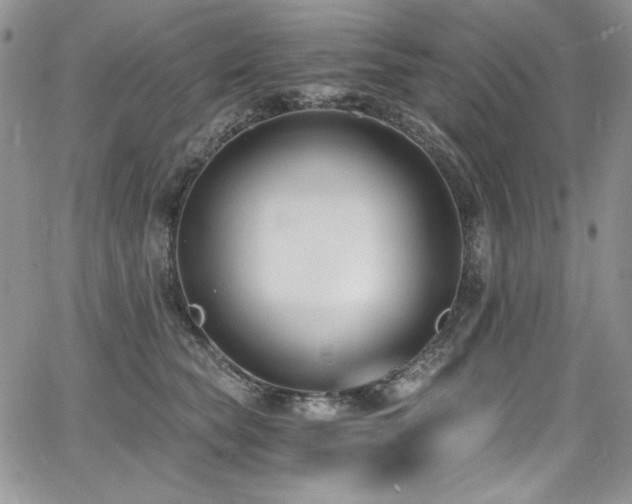 X0000068310565200604211207