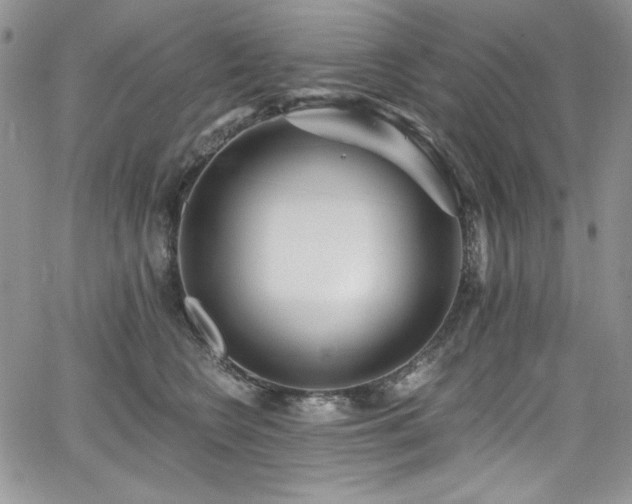 X0000068310566200604211207