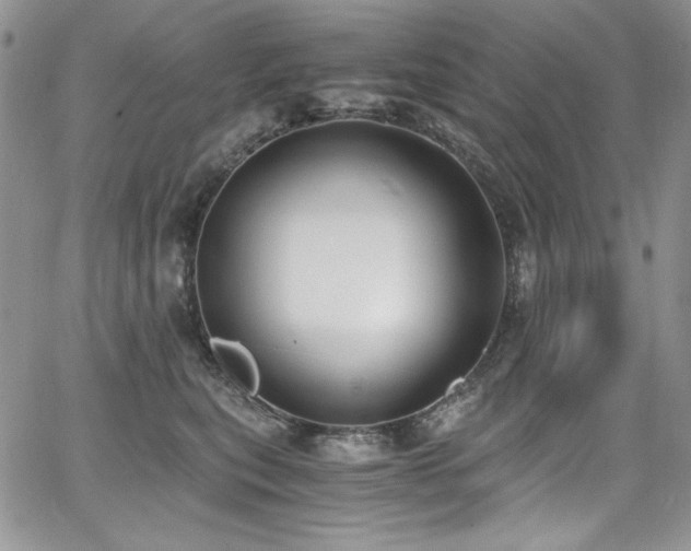 X0000068310567200604211207