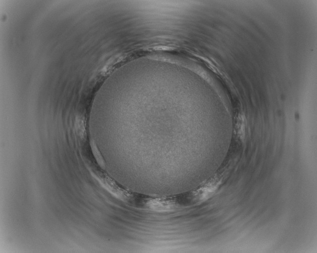 X0000068310568200604211207