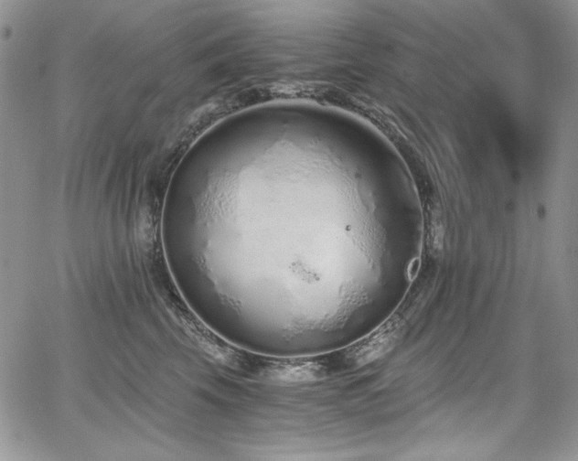 X0000068310569200604211207