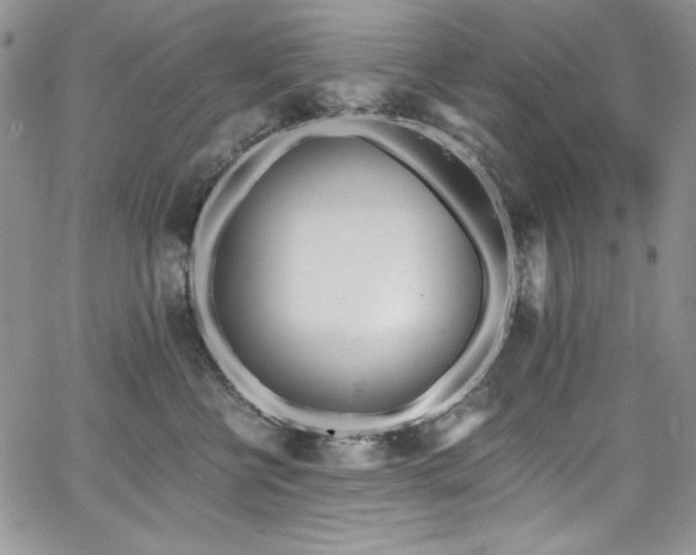 X0000068310570200604211207