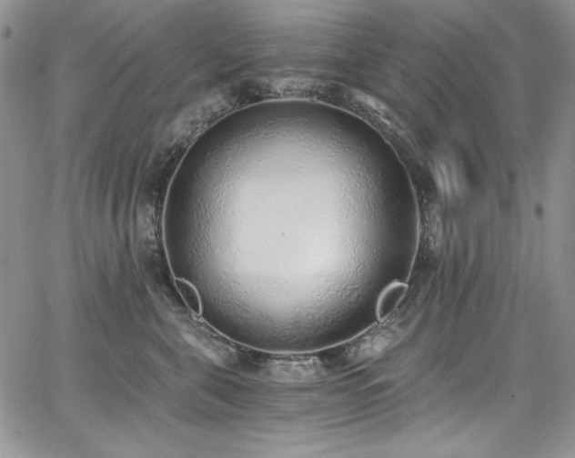 X0000068310571200604211207