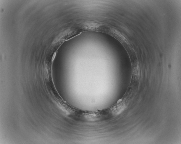 X0000068310572200604211207