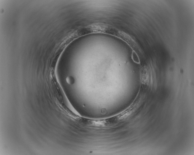 X0000068310573200604211207