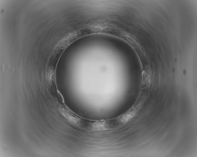 X0000068310574200604211207