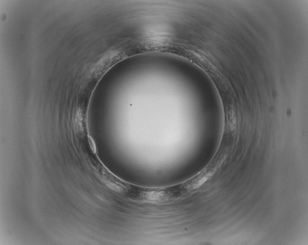 X0000068310575200604211207