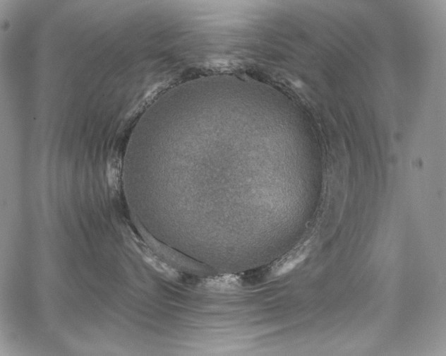 X0000068310576200604211207