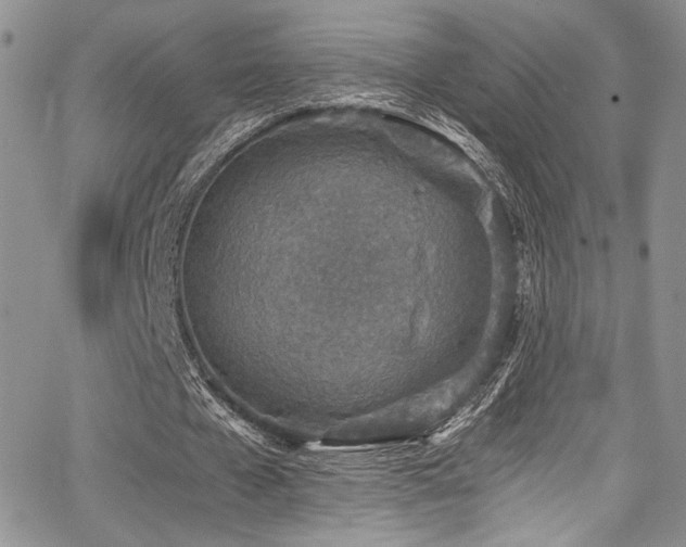 X0000068310577200604211206