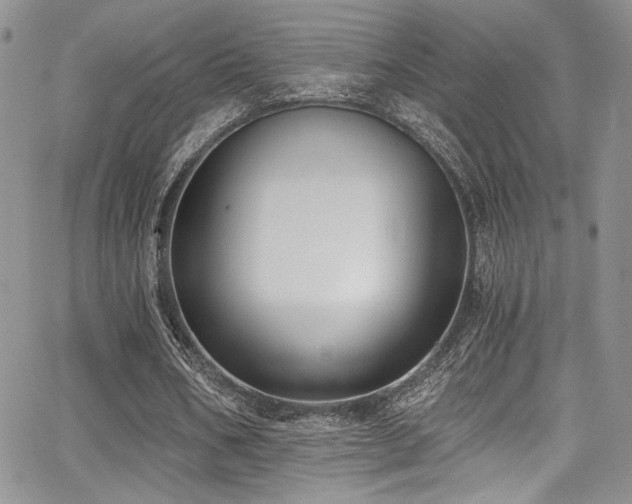 X0000068310578200604211206