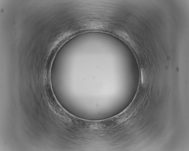 X0000068310579200604211206